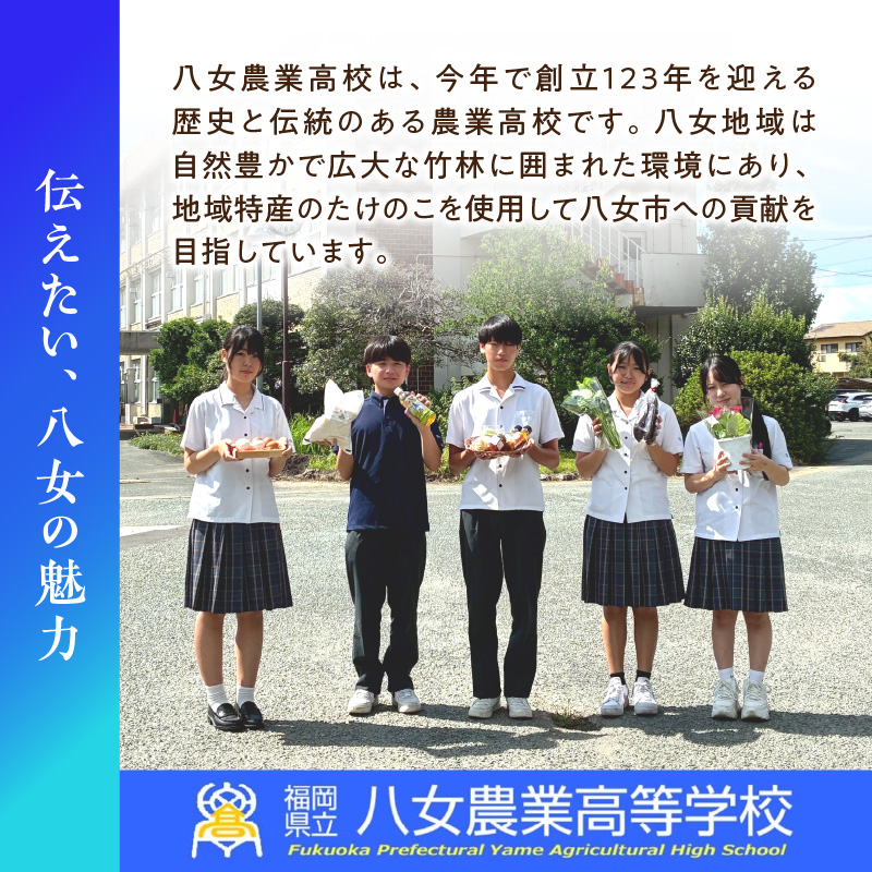 ããã®ãã®éœ(ã¿ãã)ããµãããšæãããžã§ã¯ãã ç°¡å調ç çŒãã ã æããã ã ã¬ã³ãã³ ããã ãã«ãã ããã®ã ç ãã³ããŒã° é€å æ¥å·»ã ã»ãã å·å åå
è£
ã®ãã ãã¬ãŒã³ã çŠå²¡ç å
«å¥³åž