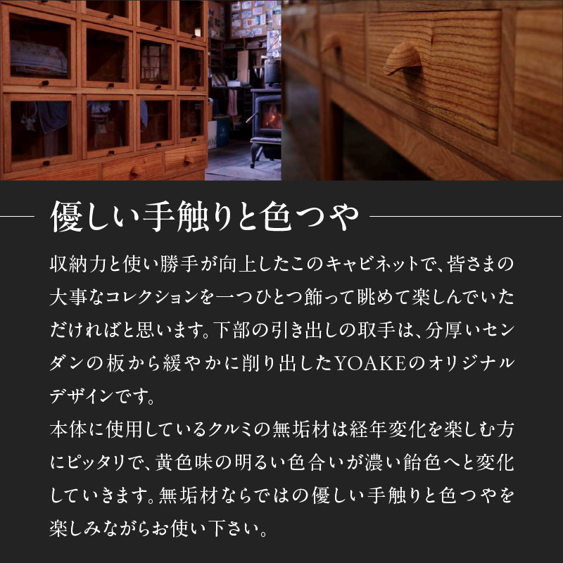 タカラモノキャビネット No.2＜配送不可：北海道・沖縄・離島＞  家具 工芸品 職人技 キャビネット 収納 棚 インテリア コレクション オリジナル 無垢材 福岡県 八女市
