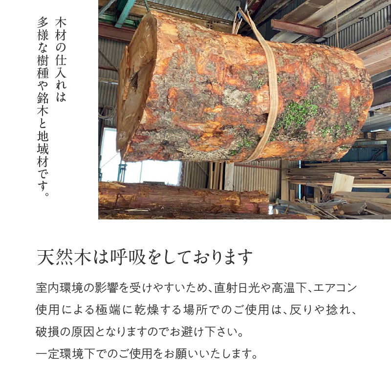 タカラモノキャビネット No.2＜配送不可：北海道・沖縄・離島＞  家具 工芸品 職人技 キャビネット 収納 棚 インテリア コレクション オリジナル 無垢材 福岡県 八女市