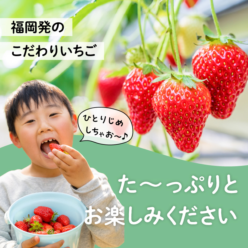 çŠå²¡çç£ããŸãã 270gÃ4ããã¯ã2026幎3æçºééå§ã ããŸãã ãã¡ã èº ã€ã㎠ãã«ãŒã æç© ãã ãã® äººæ° æ¬ çŠå²¡çç£ 270g 4ãã㯠ç£å°çŽé å·èµé
é ã¯ãŒã«äŸ¿ å
è¡äºçŽ æééå® çŠå²¡ç å
«å¥³åž