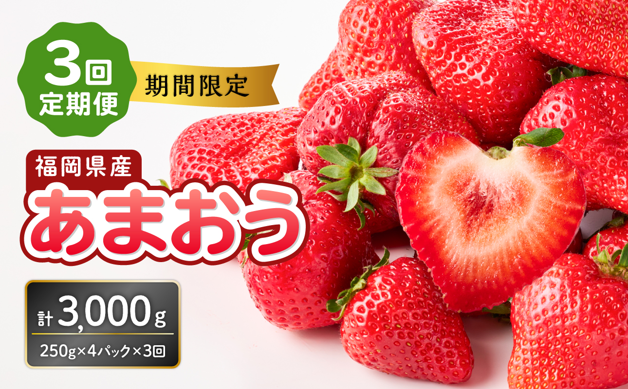 福岡県産あまおう 250g×4パック【3回定期便】 ＜配送不可：離島＞ いちご 苺 イチゴ フルーツ あかい まるい おおきい うまい 人気 果物 福岡県産 八女市
