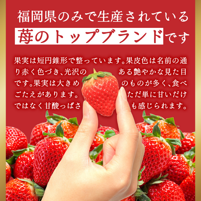 福岡県産あまおう 約250g×4パック いちご イチゴ 苺 あまおう フルーツ 果物 くだもの 250g 4パック 福岡県 八女市