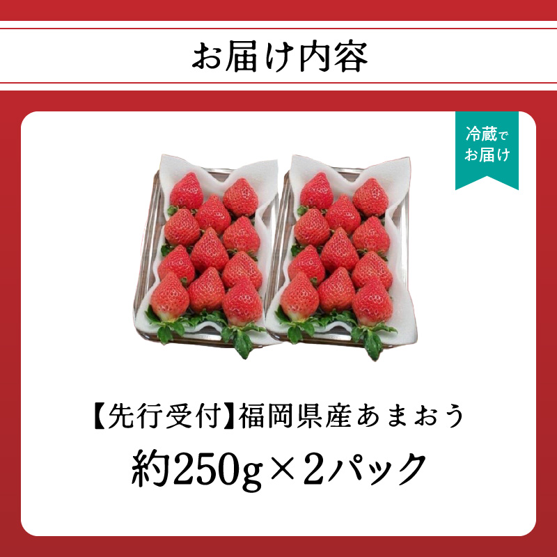 福岡県産あまおう 約250g×2パック【2027年3月発送予定】 いちご イチゴ 苺 あまおう フルーツ 果物 くだもの 250g 2パック 福岡県 八女市