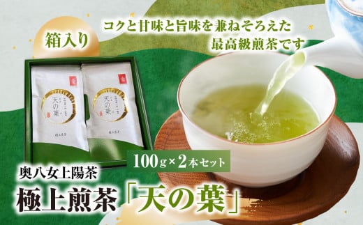 奥八女上陽茶　極上煎茶「天の葉」100ｇ×2本セット箱 茶 お茶 八女茶 緑茶 福岡県 八女市