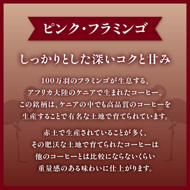レギュラーコーヒー【豆】3種詰め合わせセット（店主が選んだおすすめ珈琲）【レターパック】 コーヒー 珈琲 豆 コーヒー豆 深煎り すっきり お家カフェ リラックス 福岡県 八女市