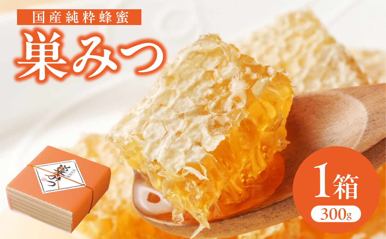 はちみつ 国産純粋蜂蜜 巣みつ 300g 非加熱 はちみつ ハチミツ 生はちみつ ローハニー オススメ 贈答 贈り物 プレゼント 八女市