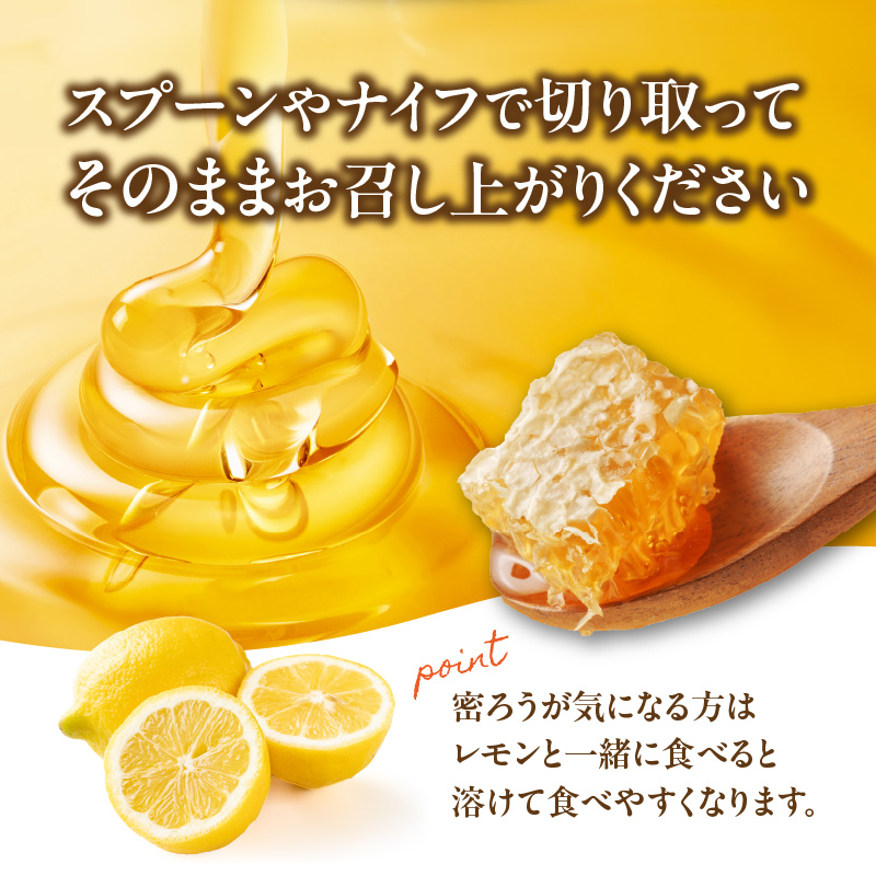 はちみつ 国産純粋蜂蜜 巣みつ 300g 非加熱 はちみつ ハチミツ 生はちみつ ローハニー オススメ 贈答 贈り物 プレゼント 八女市