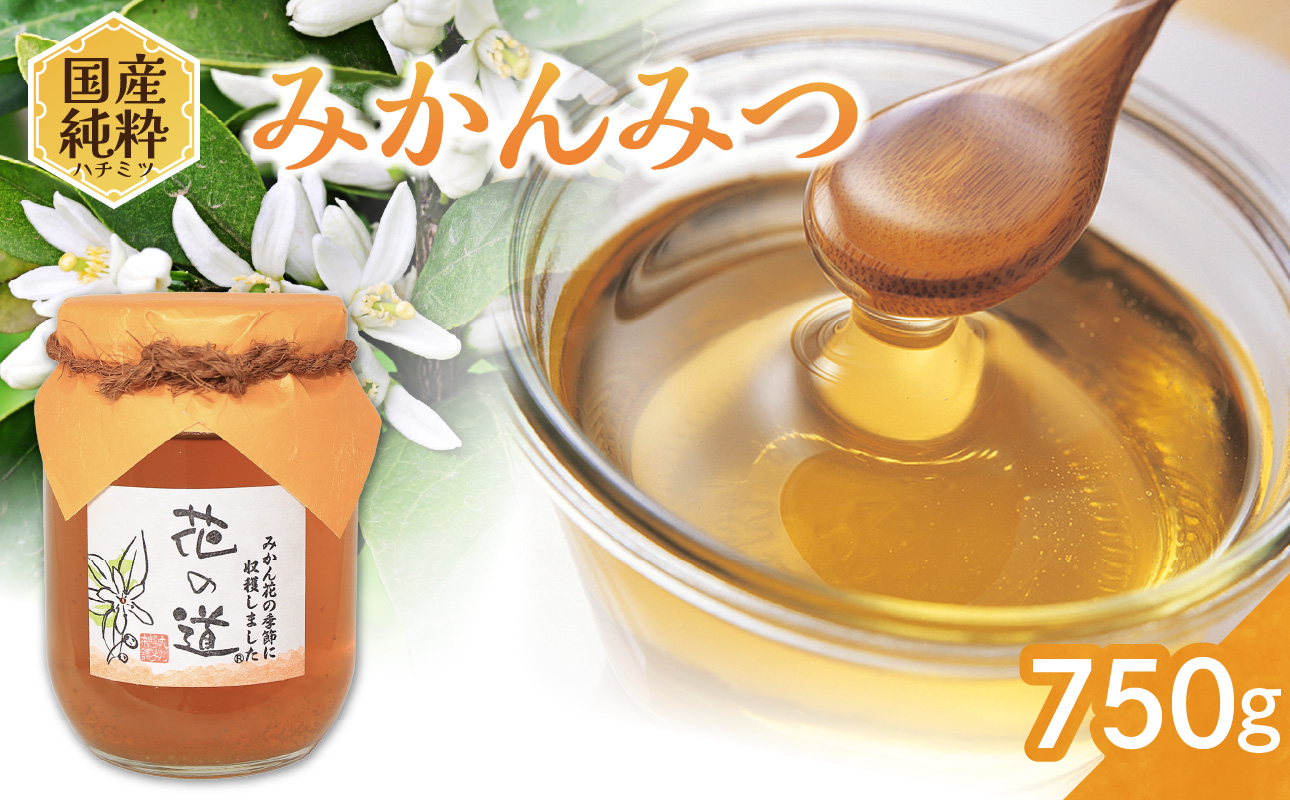 国産純粋蜂蜜 みかんみつ 750ｇ 非加熱 はちみつ ハチミツ 生はちみつ ローハニー オススメ 贈答 贈り物 プレゼント 八女市
