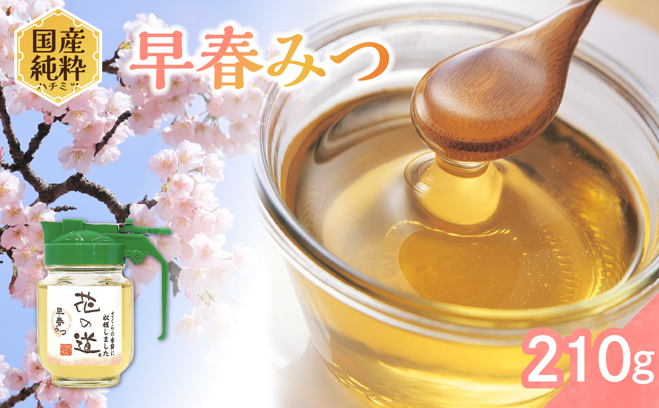 国産純粋蜂蜜 早春みつ 210g 非加熱 はちみつ ハチミツ 生はちみつ ローハニー オススメ 贈答 贈り物 プレゼント 八女市