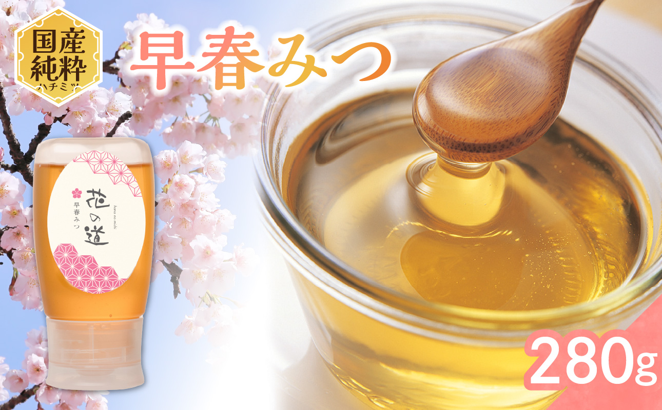 国産純粋蜂蜜 早春みつ 280g 非加熱 はちみつ ハチミツ 生はちみつ ローハニー オススメ 贈答 贈り物 プレゼント 八女市