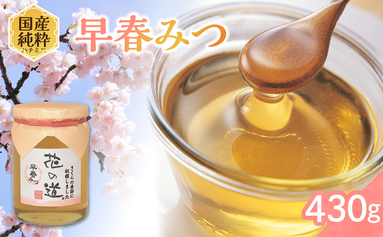 国産純粋蜂蜜 早春みつ 430g 非加熱 はちみつ ハチミツ 生はちみつ ローハニー オススメ 贈答 贈り物 プレゼント 八女市