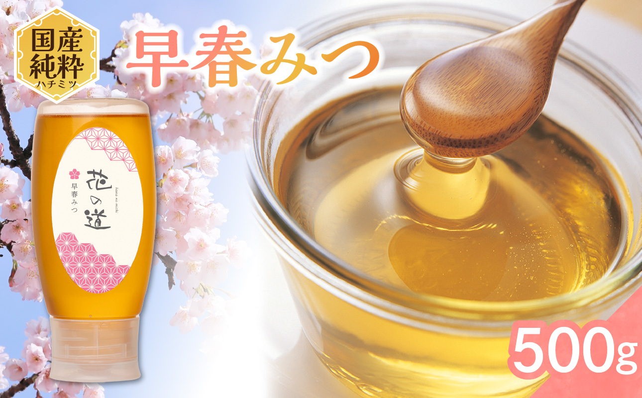 国産純粋蜂蜜 早春みつ 500g 非加熱 はちみつ ハチミツ 生はちみつ ローハニー オススメ 贈答 贈り物 プレゼント 八女市
