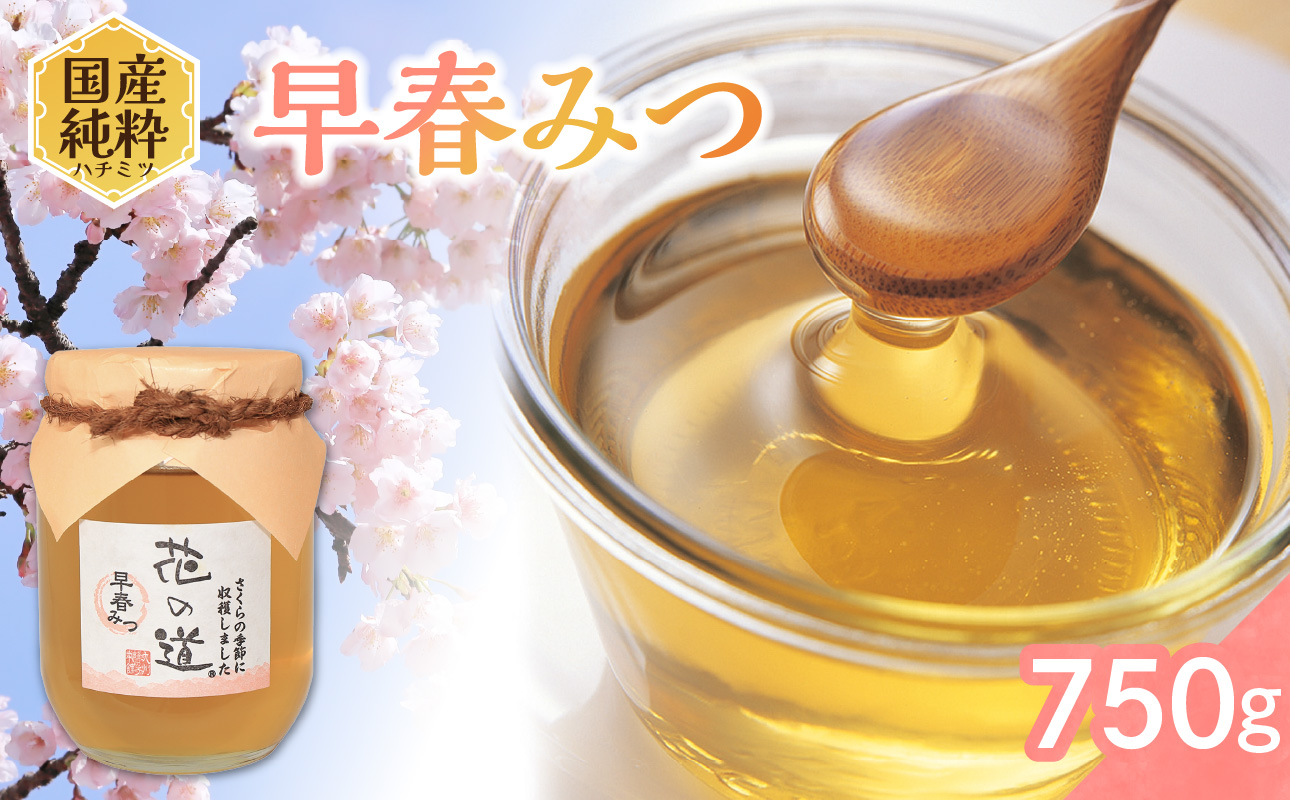 国産純粋蜂蜜 早春みつ 750g 非加熱 はちみつ ハチミツ 生はちみつ ローハニー オススメ 贈答 贈り物 プレゼント 八女市