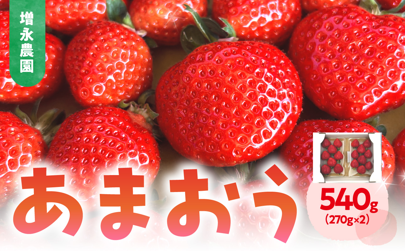 【増永農園】 あまおう 270g×2パック 【2026年1月より順次発送】 ジューシー フレッシュ 苺 果物 くだもの スイーツ作り 数量限定 イチゴ 期間限定 美味しい いちご 福岡県 八女市