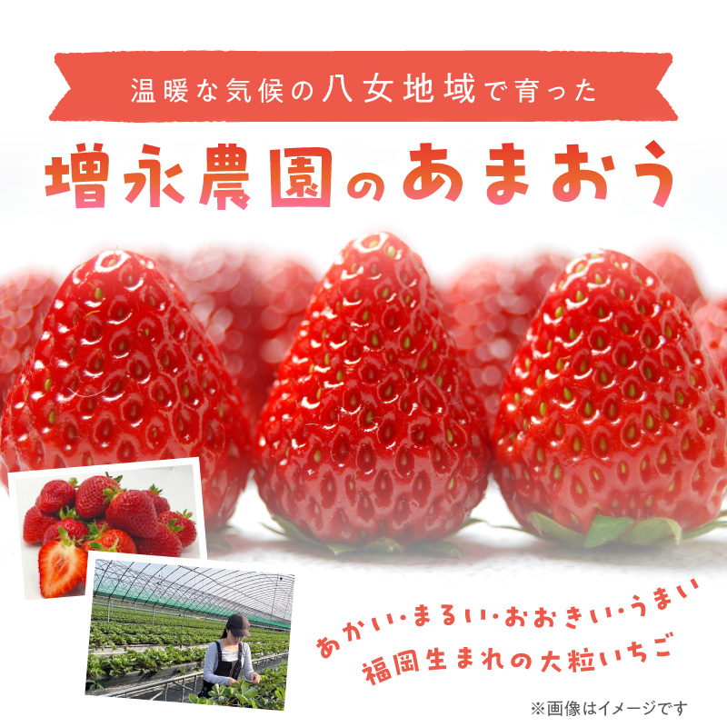 【増永農園】 あまおう 270g×2パック 【2026年1月より順次発送】 ジューシー フレッシュ 苺 果物 くだもの スイーツ作り 数量限定 イチゴ 期間限定 美味しい いちご 福岡県 八女市