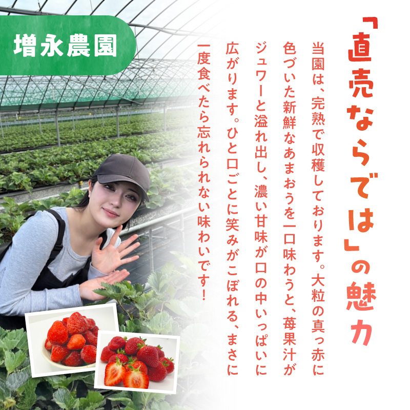【増永農園】 あまおう 270g×2パック 【2026年1月より順次発送】 ジューシー フレッシュ 苺 果物 くだもの スイーツ作り 数量限定 イチゴ 期間限定 美味しい いちご 福岡県 八女市