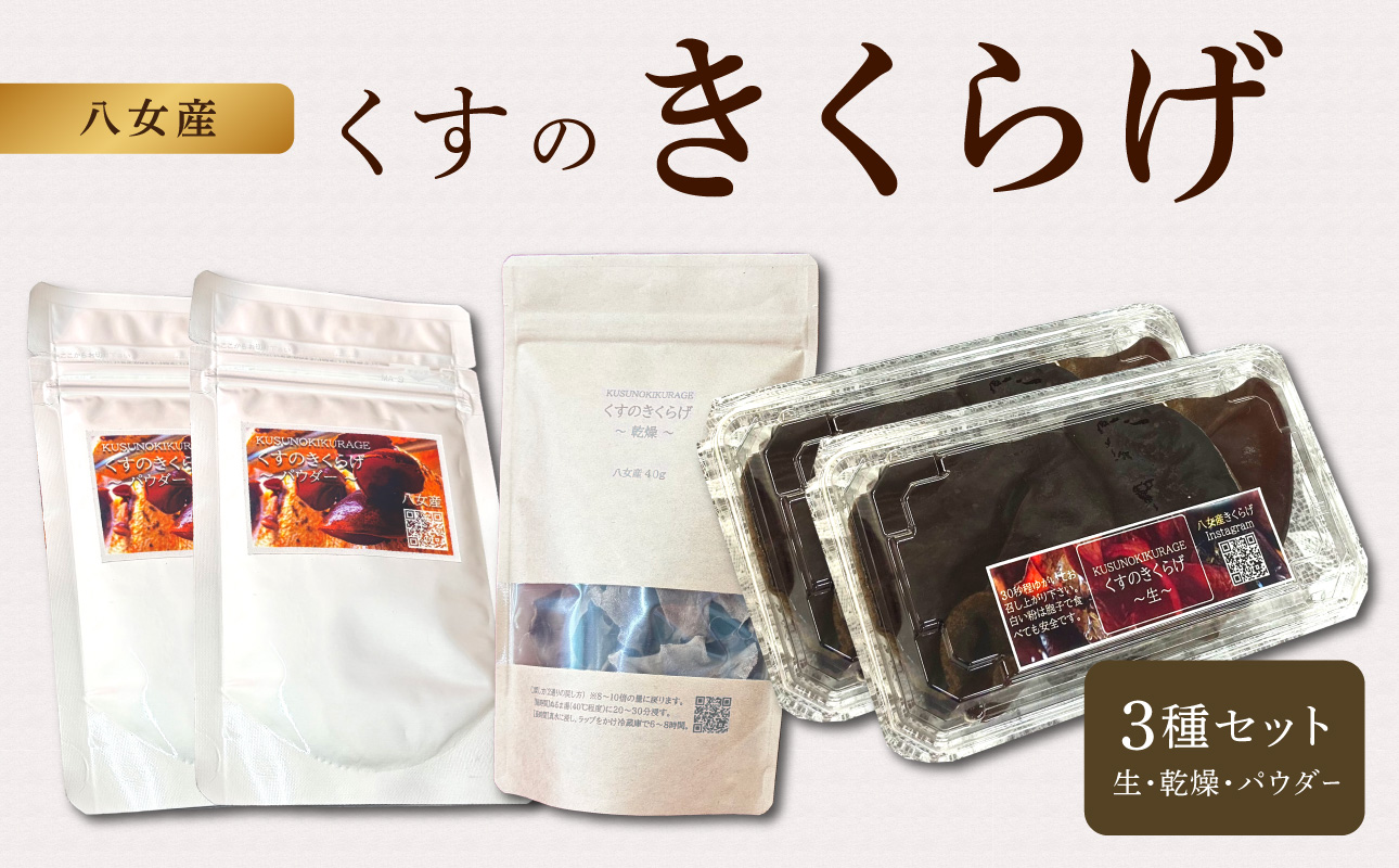 くすのきくらげ 3種セット(生きくらげ・乾燥きくらげ・パウダーきくらげ） 国産 八女産 肉厚 食物繊維 ビタミンD 腸活 美容食 栄養 コリコリ 小分け 使い切り 炒め物 スープ ラーメン 中華 福岡県 八女市 196-001
