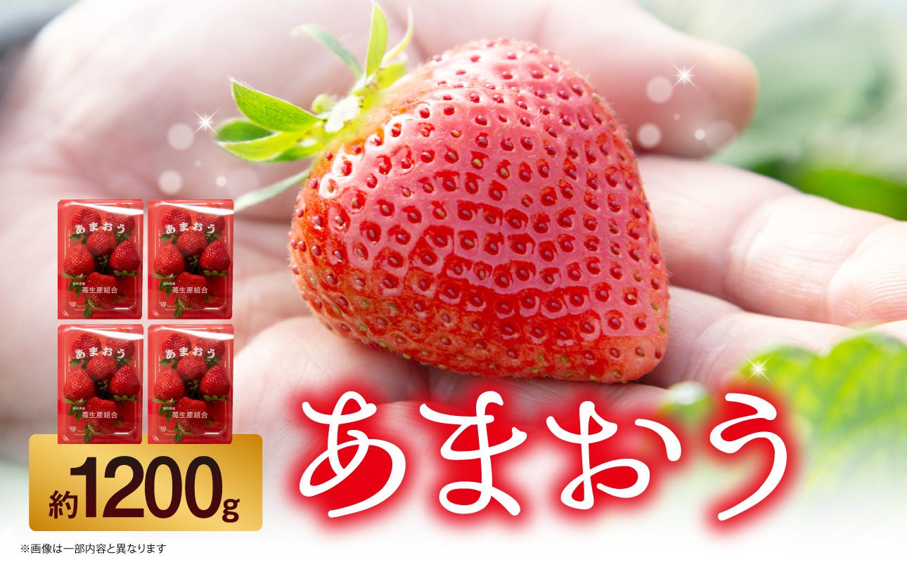 苺（あまおう）4パック入り（300～350g） いちご 苺 イチゴ 旬 あまおう ブランド くだもの 福岡県 八女市