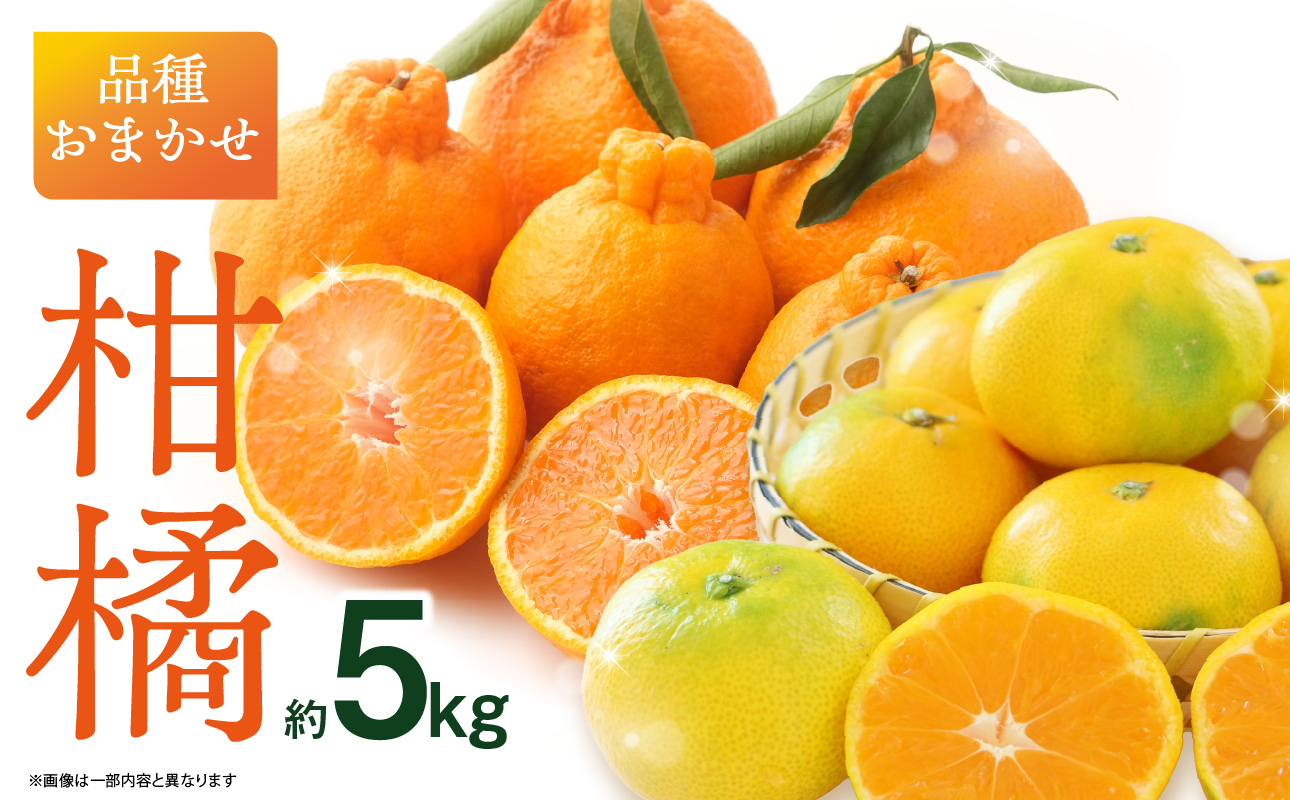 品種おまかせ！柑橘（5kg） ミカン みかん デコポン 柑橘 おまかせ 5キロ 旬 フルーツ 果物 福岡県 八女市