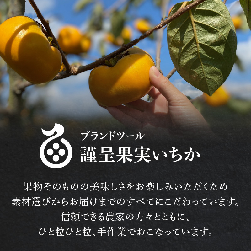 ãã©ã€ãã«ãŒã 最æïŒæ¿ã»ç§çïŒã»ãã ãã©ã€ãã«ãŒã æ¿ ç§ç ãã©ã³ãæ¿ ã°ã©ã³ããªåè³ çè²æäžäœ¿çš ä¿åæäžäœ¿çš ãè¶èå ãã〠ãã€ãŸã¿ èŽçå ãã¬ãŒã³ã ç®±å
¥ã çŠå²¡ç å
«å¥³åž