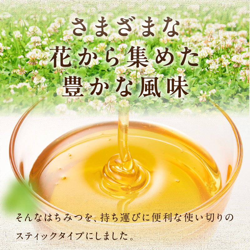 はちみつスティック（10g×5本入り）×1袋【メール便】 はちみつ ハチミツ ハニー 蜂蜜 使い切り 小分け 便利 手軽 持ち運び 常温 保存 備蓄 防災食 非常食 防災グッズ 福岡県 八女市 ポスト投函 簡易包装 訳あり