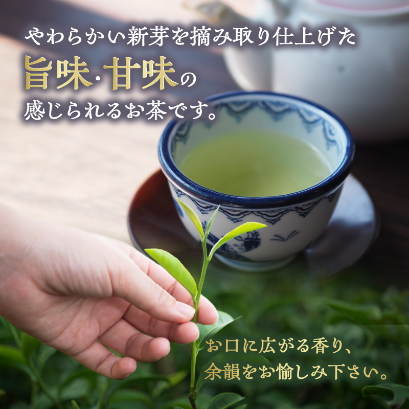 八女茶特上煎茶 3本セット【メール便】 煎茶 特上 美味しい お茶 贈り物 八女茶 日本茶 緑茶 福岡県 八女市 ポスト投函 簡易包装 訳あり