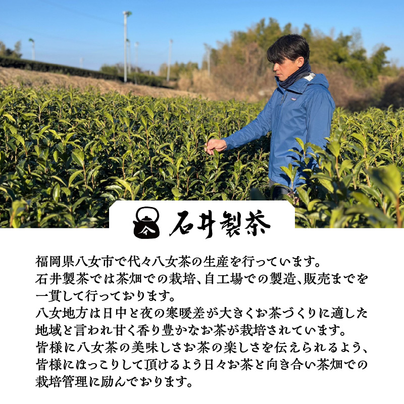 å
«å¥³è¶ã»ããè¶ãã£ãŒããã°3gÃ20å
ãã¡ãŒã«äŸ¿ã åœç£ ã»ããè¶ å
«å¥³è¶ ãè¶ ããã æ°Žåºã æè»œ ãã£ãŒãã㯠çŠå²¡ç å
«å¥³åž