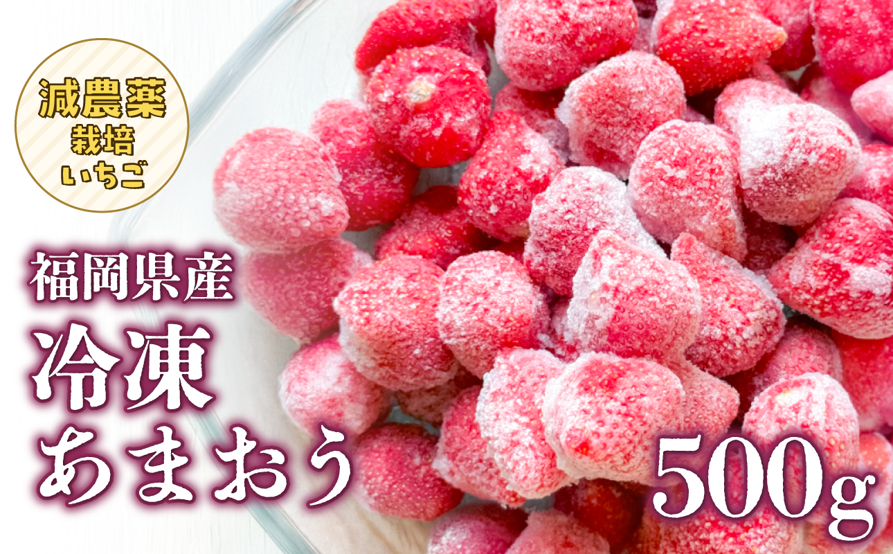 冷凍いちご 500g×1パック【大月いちご園】 あまおう いちご 苺 イチゴ フルーツ くだもの 朝採り 冷凍 アレンジ 小分け 食べきり 福岡県 八女市