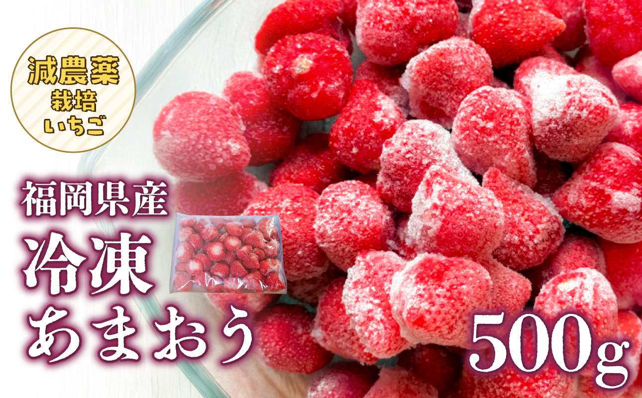 冷凍いちご 500g×1パック【大月いちご園】 あまおう いちご 苺 イチゴ フルーツ くだもの 朝採り 冷凍 アレンジ 小分け 食べきり 福岡県 八女市