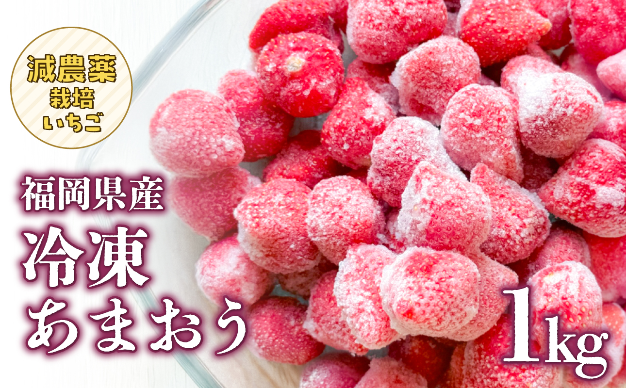 冷凍いちご 500g×2パック【大月いちご園】 あまおう いちご 苺 イチゴ フルーツ くだもの 朝採り 冷凍 アレンジ 小分け 食べきり 福岡県 八女市