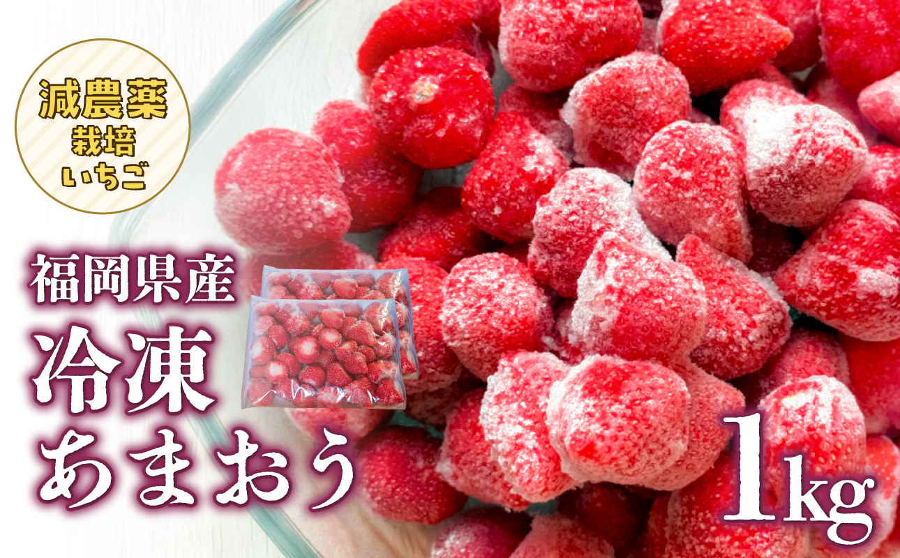 冷凍いちご 500g×2パック【大月いちご園】 あまおう いちご 苺 イチゴ フルーツ くだもの 朝採り 冷凍 アレンジ 小分け 食べきり 福岡県 八女市