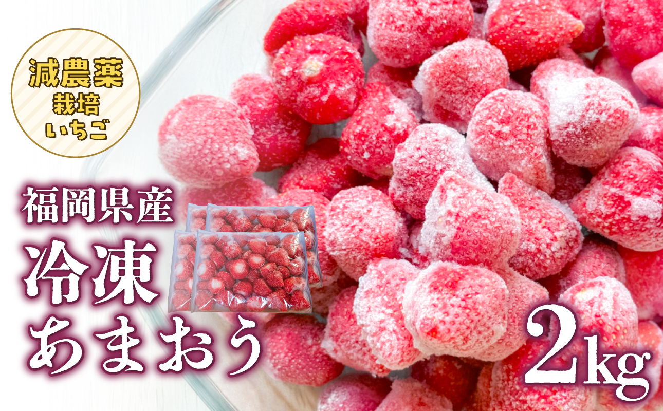 冷凍いちご 500g×4パック 【大月いちご園】 イチゴ 苺 あまおう 冷凍 2kg 大容量 果物 九州 国産 フルーツ スムージー ジャム 福岡県 八女市