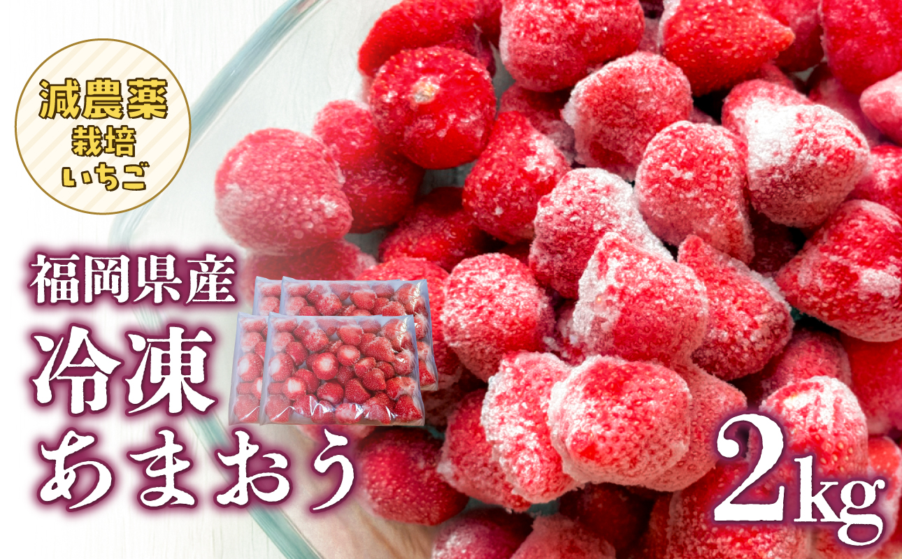 冷凍いちご 500g×4パック 【大月いちご園】 イチゴ 苺 あまおう 冷凍 2kg 大容量 果物 九州 国産 フルーツ スムージー ジャム 福岡県 八女市