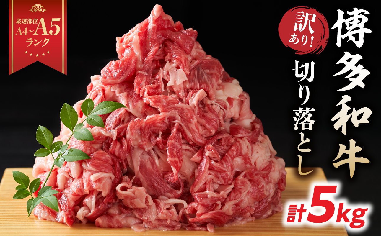 訳あり！【A4～A5】博多和牛切り落とし 5kg(500g×10P） 博多和牛 しゃぶしゃぶ すき焼き 肩 バラ 和牛 国産 牛肉 牛 A4 A5