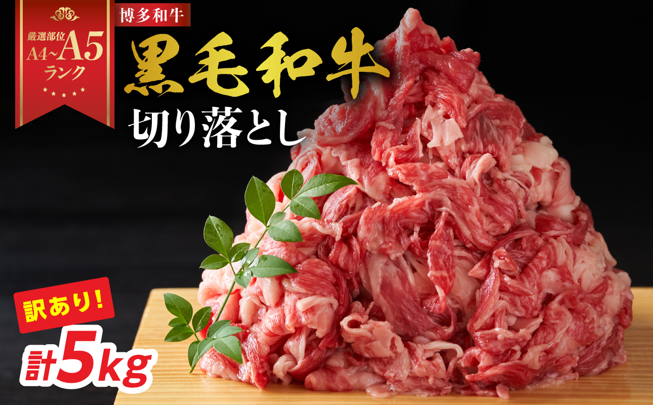 訳あり！【A4～A5】博多和牛切り落とし 5kg(500g×10P） 博多和牛 しゃぶしゃぶ すき焼き 肩 バラ 和牛 国産 牛肉 牛 A4 A5