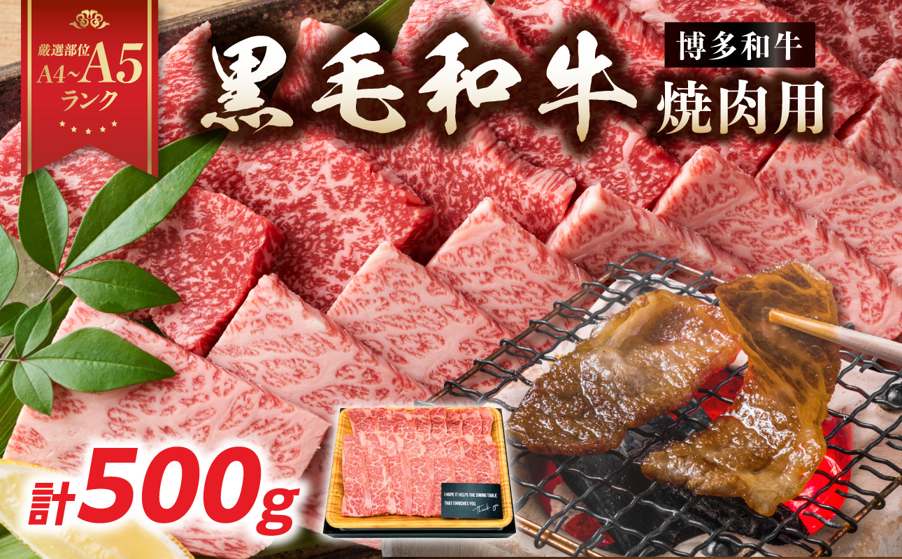 【A4～A5】博多和牛焼肉用 500g 黒毛和牛 焼肉 和牛 国産 牛肉 BBQ グルメ 焼肉 バラ 肩ロース モモ A4 A5 福岡県 八女市