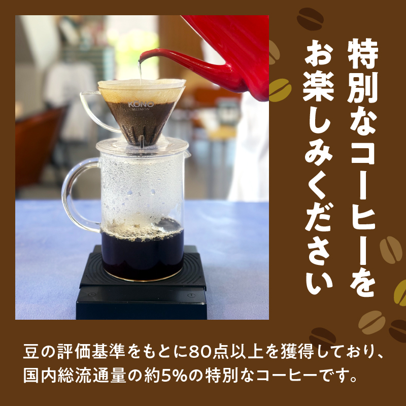 スペシャルティコーヒー【あっさり】粉 100g×3袋【メール便】 コーヒー 珈琲 粉 自家焙煎 スペシャルティコーヒー 美味しい セット 福岡県 八女市 ポスト投函 簡易包装 訳あり