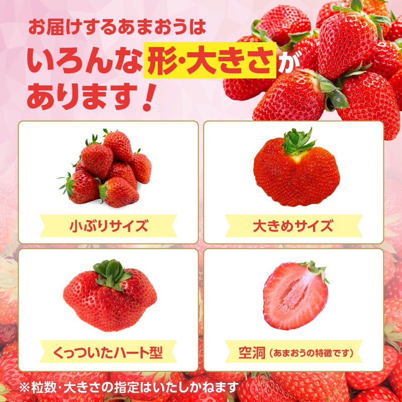 【2026年3月配送開始】福岡・博多名物ブランドいちご「あまおう」 6パック 合計約1,620g ＜配送不可：北海道・沖縄・離島＞ あまおう いちご 苺 イチゴ フルーツ 果物 くだもの 人気 旬 福岡県産 アフター補償 産地直送 冷蔵配送 福岡県 八女市