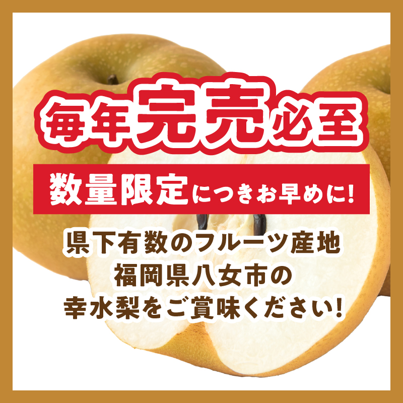 ãå
è¡åä»ã幞氎梚ïŒ5kgïŒããµãããå
«å¥³ãïœ2026幎7æäžæ¬ïœçºéäºå® 梚 ãªã 幞氎 幞氎梚 ãã«ãŒã æç© ãã ãã® ã¿ãã¿ããã çœãã çã ã·ã£ãªã·ã£ãªé£æ ç£å°çŽé ãã¶ãŒã æ¬ çã