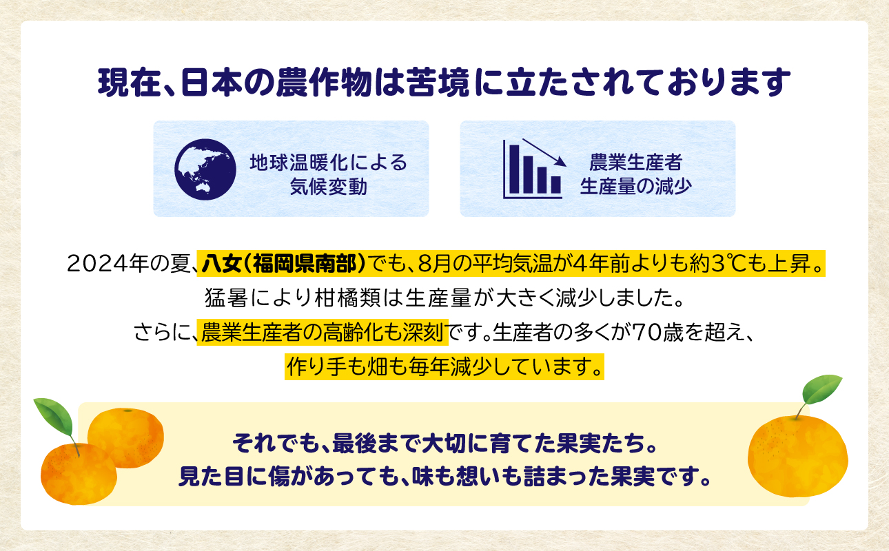 もったいな果 国産 ゴールドキウイのむゼリー 180g×6個入 キウイ ゴールドキウイ もったいな果 フルーティー まろやか 飲むタイプ 栄養補給 福岡県 八女市