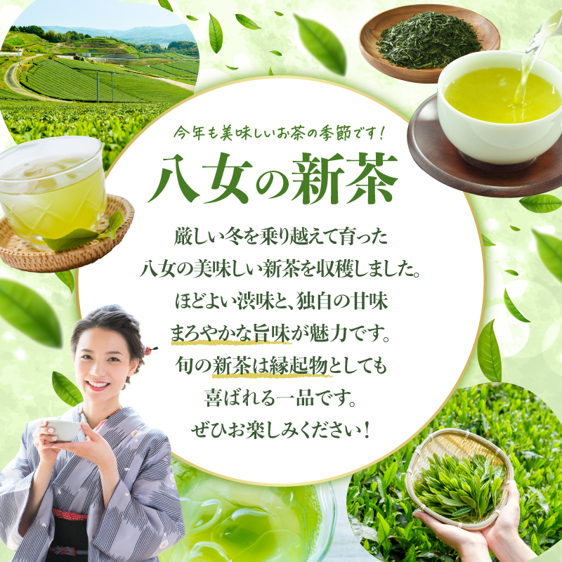【2026年新茶】八女茶 特上煎茶 100g×3袋 茶 お茶 日本茶 緑茶 八女茶 新茶 福岡県 八女市