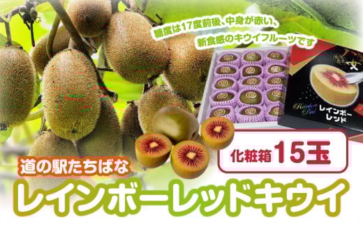 レインボーレッドキウイ 化粧箱15玉【2025年10月～順次発送】 キウイ 高糖度 甘いキウイ 期間限定 数量限定 箱入り 贈答品 福岡県 八女市