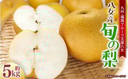 【2026年9月～10月上旬発送予定】九州福岡フルーツ王国八女 旬の梨 約5kg ＜配送不可：北海道・沖縄・離島＞ フルーツ くだもの 果物 なし ナシ 甘太 新興 王秋 産地直送 旬 秋の味覚 デザート 九州 福岡 フルーツ王国 八女