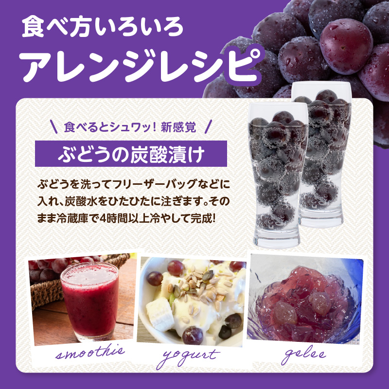 【先行受付】種なし 巨峰 1.4kg（350g×4パック）｜2026年7月上旬〜発送予定 産地直送 朝採れ 種なし 甘い ジューシー 大粒 数量限定 冷蔵 ぶどう ブドウ 葡萄 デザート 果物 くだもの フルーツ もぎたて スイーツ 九州 福岡県 八女市