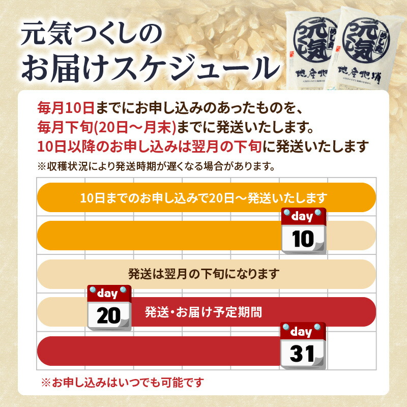 九州・福岡からお届け！ブランド米「元気つくし」定期便【全5回】 お米 米 コメ 白米 特A 直送 お弁当 おにぎり 炊きたて ツヤ 粘り もちもち 弾力 卵かけご飯 福岡県 八女市