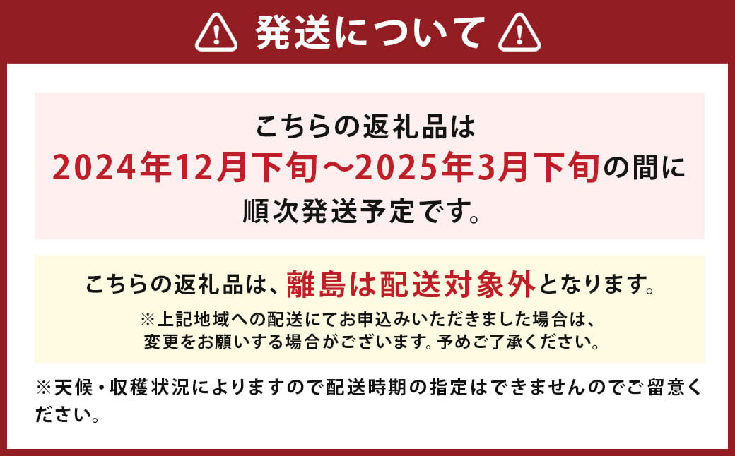 いちご 「かおり野」プレミアム 300g×4パック 約1.2kg【2024年12月下旬から2025年3月下旬まで発送予定】 苺 イチゴ ベリー 果物 フルーツ デザート おやつ お取り寄せ