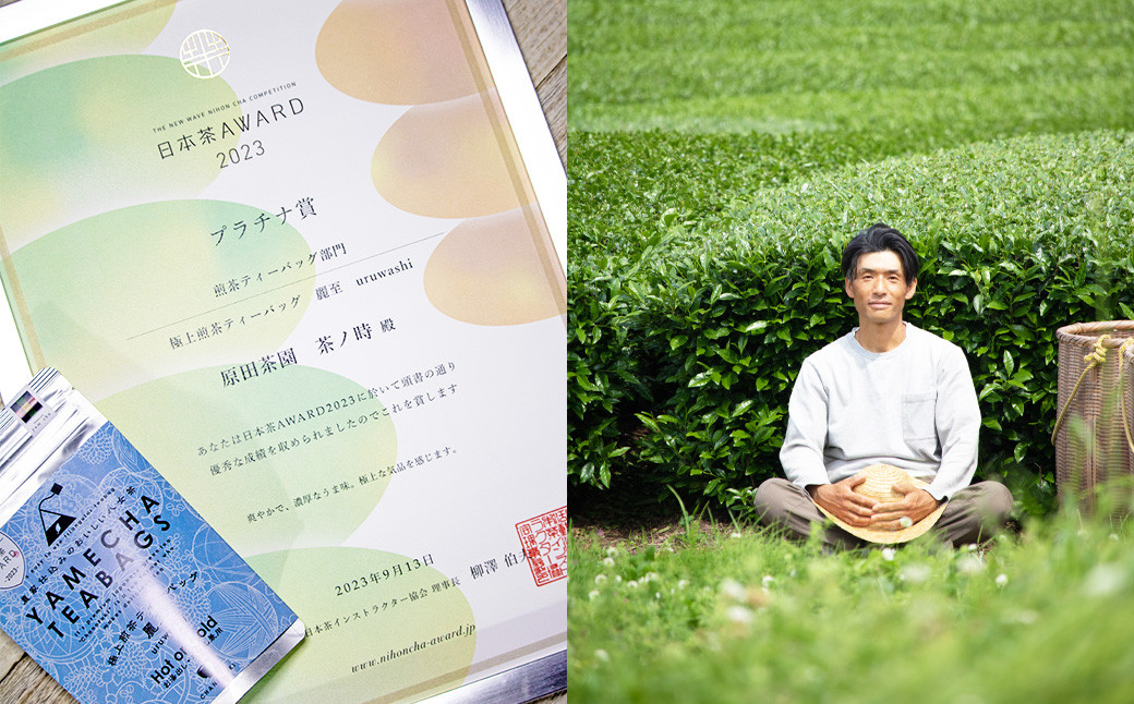 八女茶 4種類×各1袋 セット 煎茶 白折茶 玄米茶 お茶 緑茶 ティーバッグ 日本茶AWARD受賞