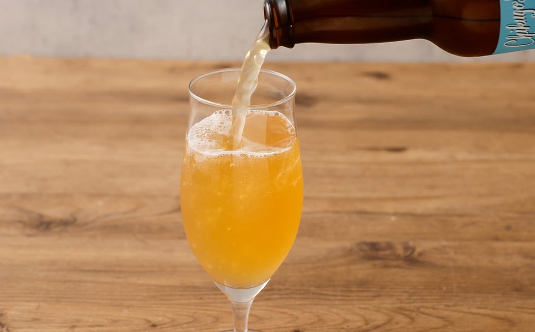 クラフトビール 2種 6本 セット （330ml×6本 計1980ml） ／ ビール お酒 酒 アルコール 家飲み 晩酌 ギフト 贈答 贈り物 プレゼント