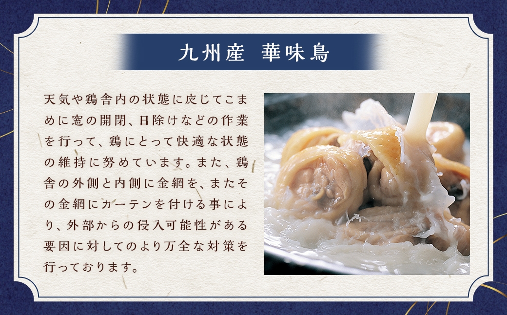 博多華味鳥スープをいただく水たきセット （ 1～2人前 ） 手羽元 ぽん酢 雑炊 鍋 お鍋 冷凍 スープ 鍋料理 水炊き 出汁 鶏肉 つくね