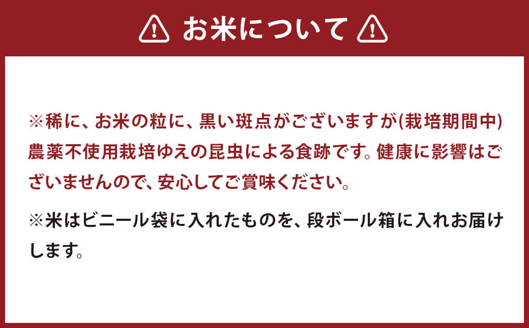 【3回定期便】 津留いちご園のお米 白米 農薬・化学肥料不使用（栽培期間中） 約5kg×3回 合計約15kg【2024年11月上旬発送開始】 ご飯 定期便 福岡県産 国産